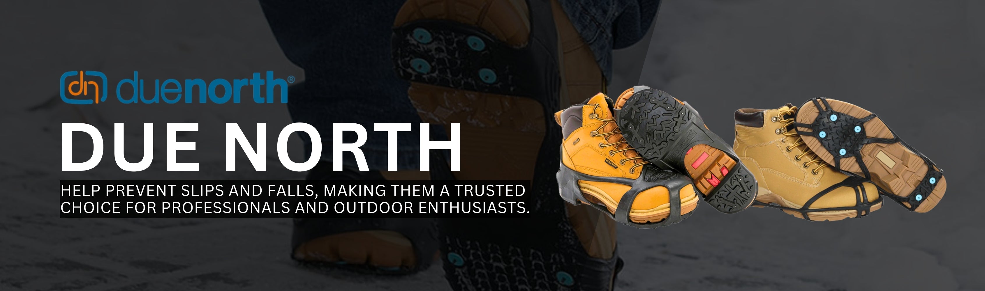 Due North Banner