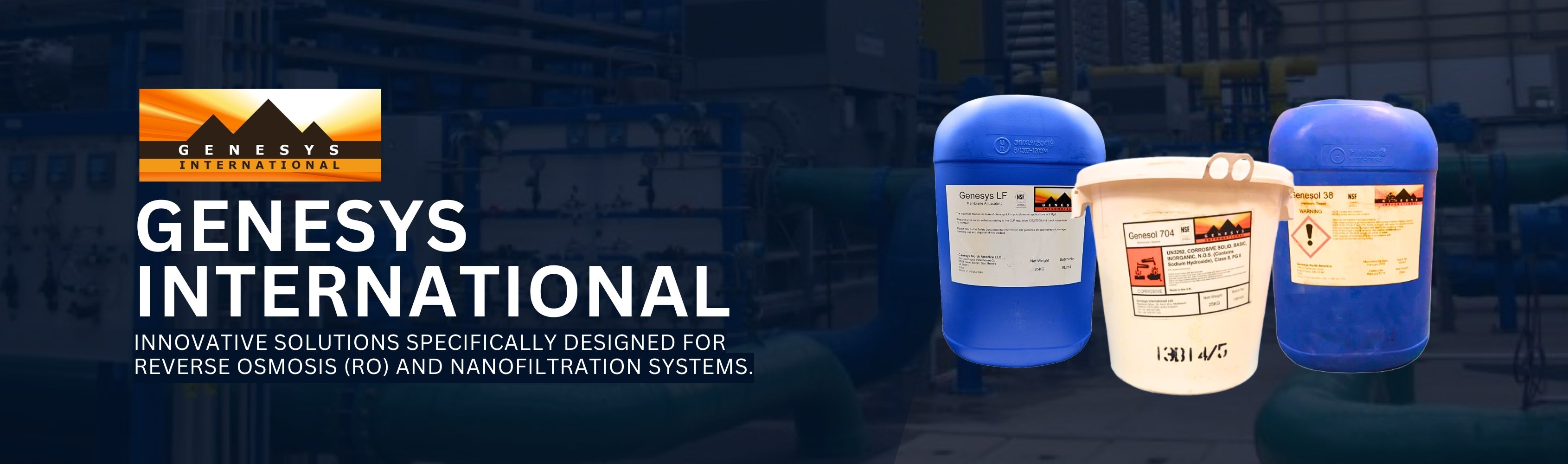 Genesys International Banner