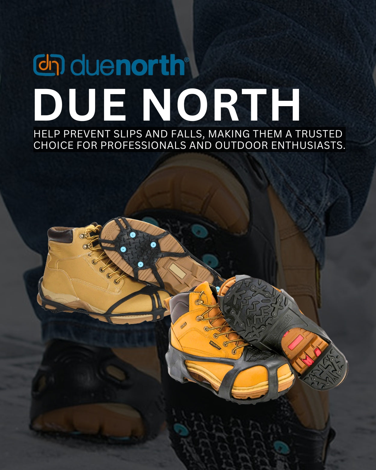 Due North Banner