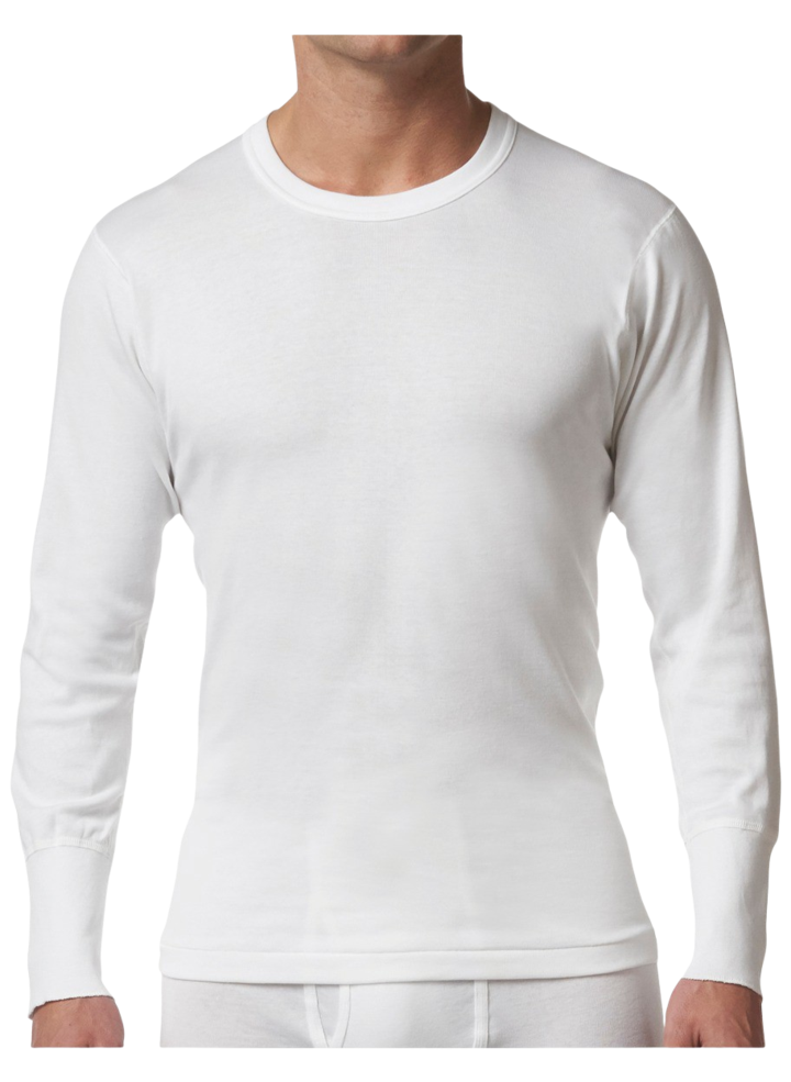 Stanfield's Men's Shirts 2513 Premium Cotton Long Sleeve Pack of Siz