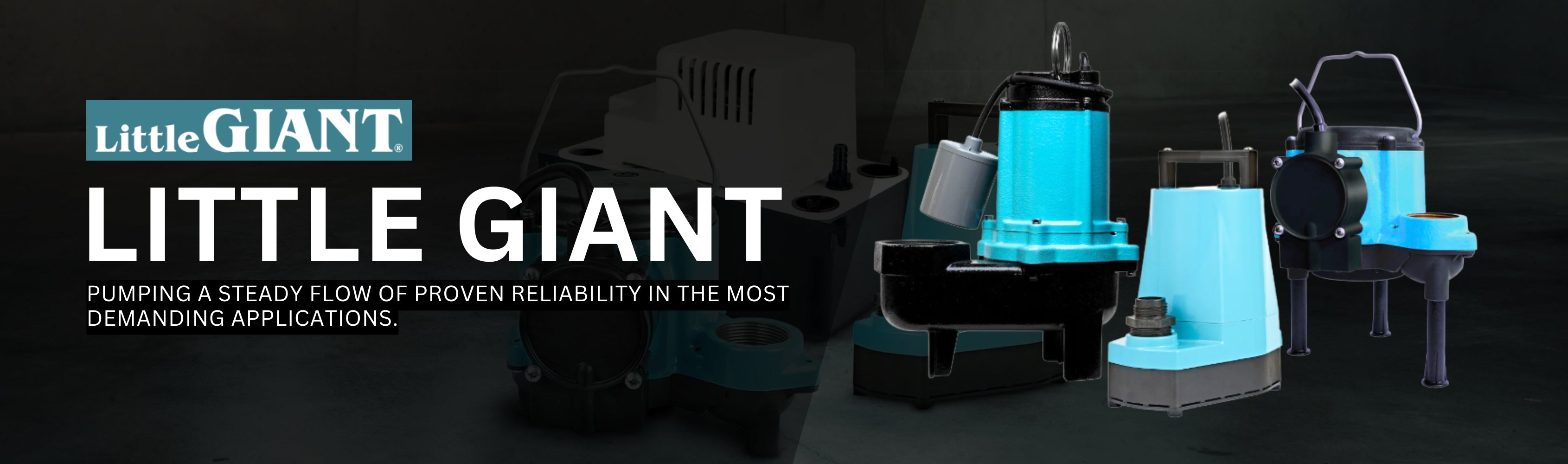 Little Giant Banner