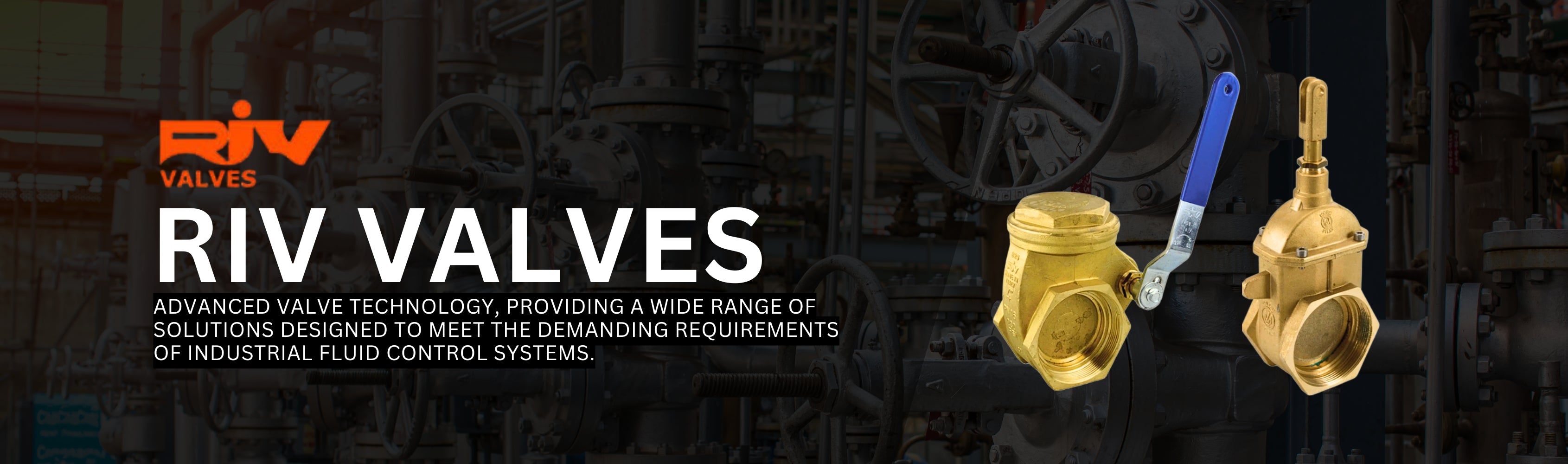 RIV Valves Banner