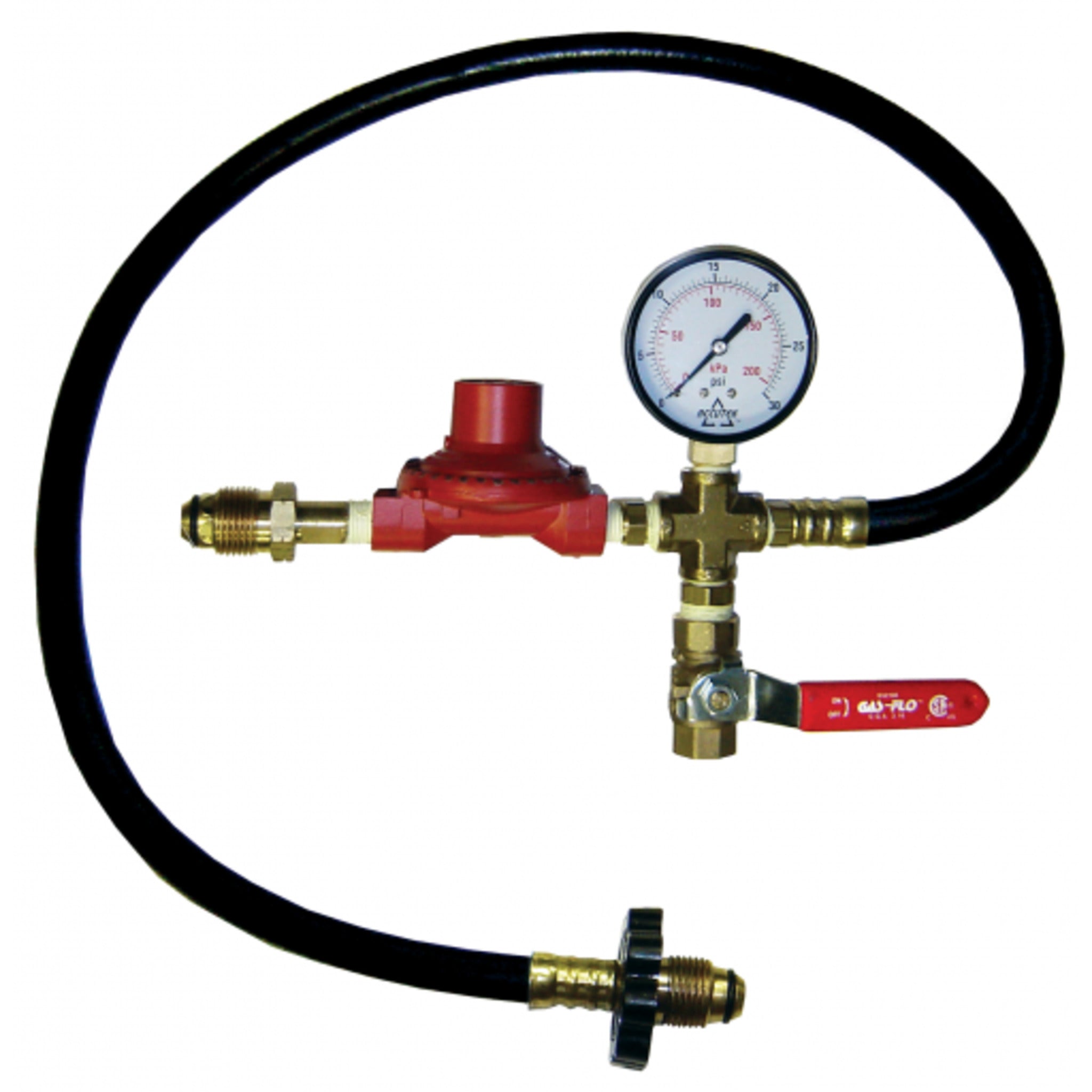 Efficient Propane Tank Purge Kit - 15 PSI Regulator, 3' Flexible Hose,