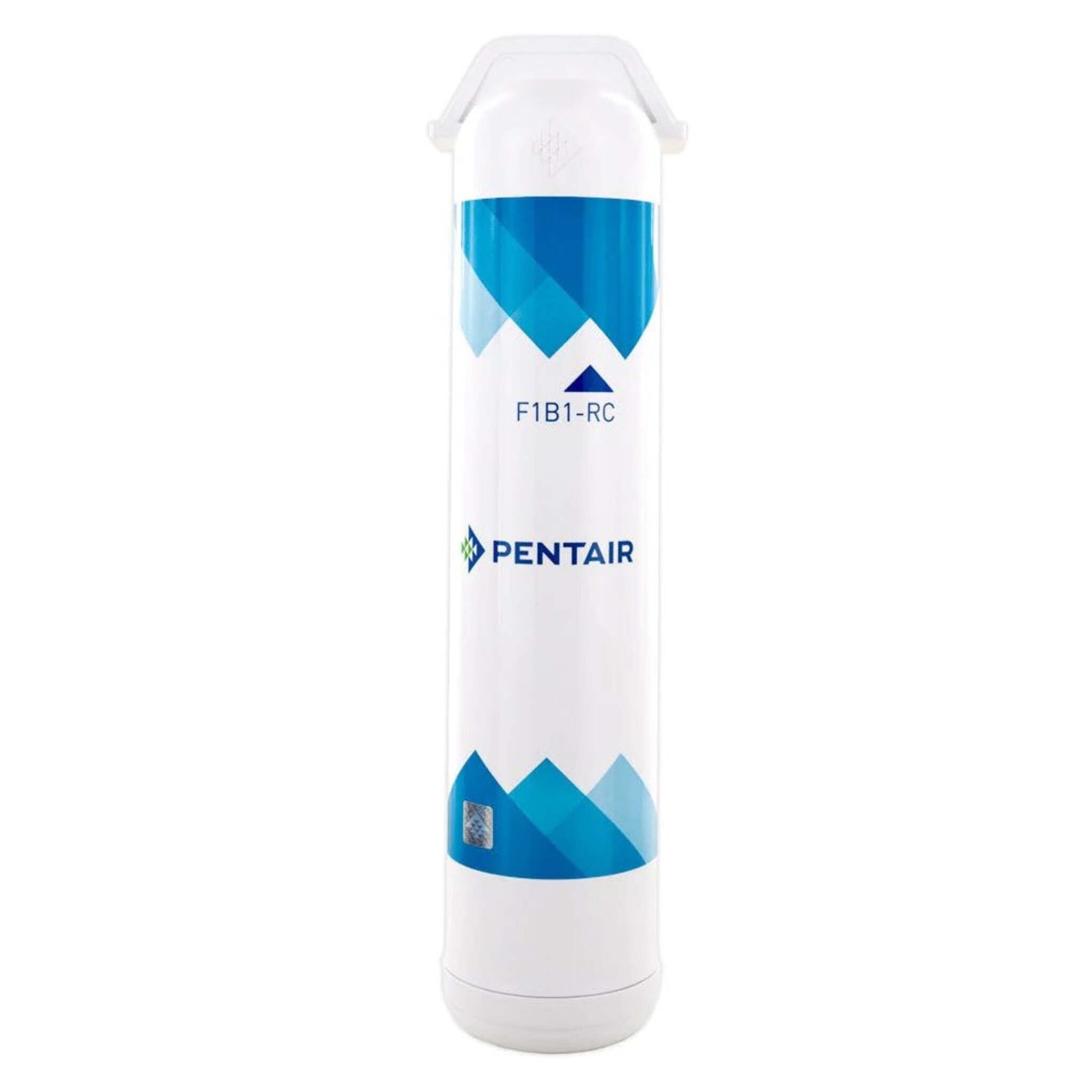 Pentair FreshPoint F1B1-RC Replacement Carbon Block Cartridge for Fres