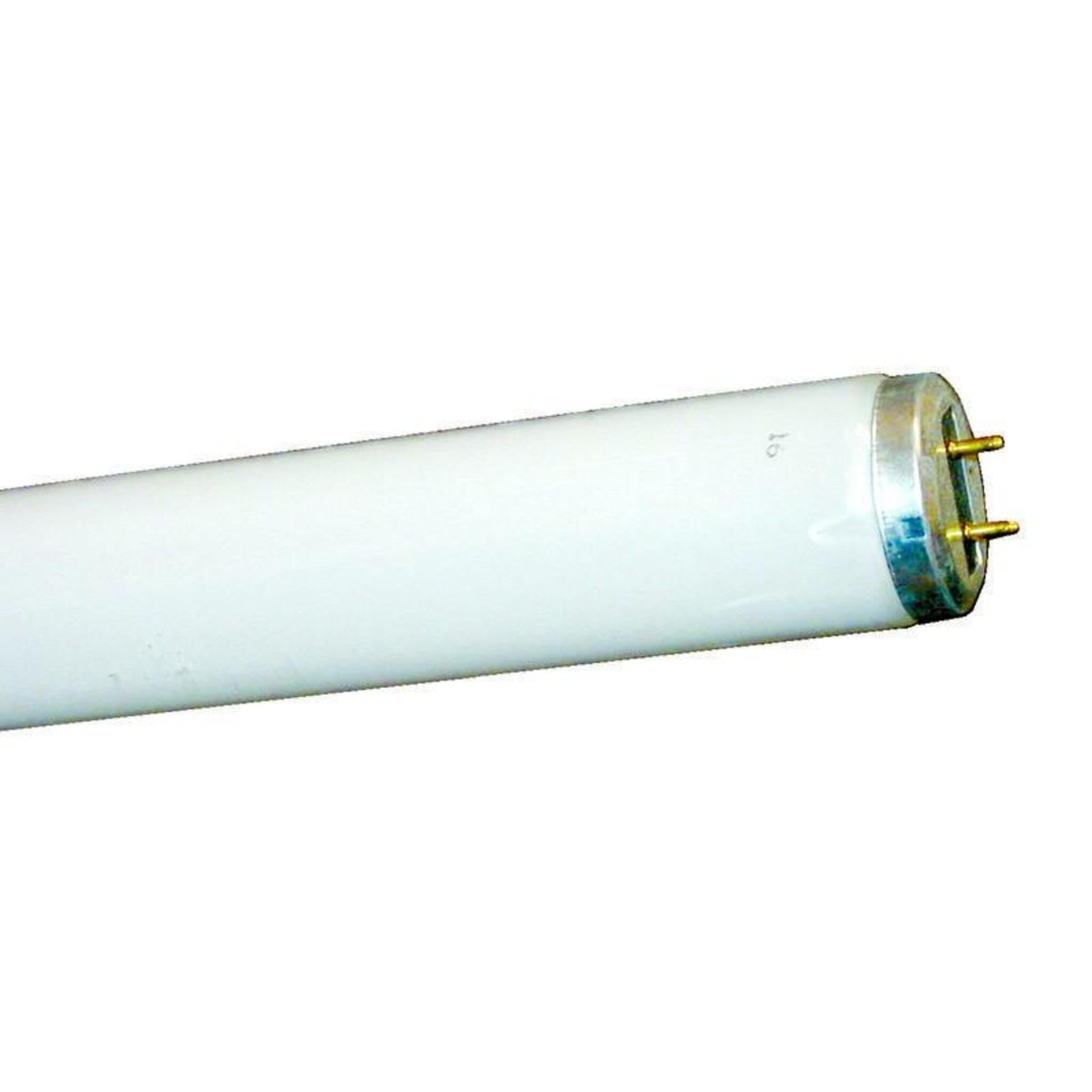 Two Pin Fluorescent Lamps | 48" Facility Equipment - Cleanflow