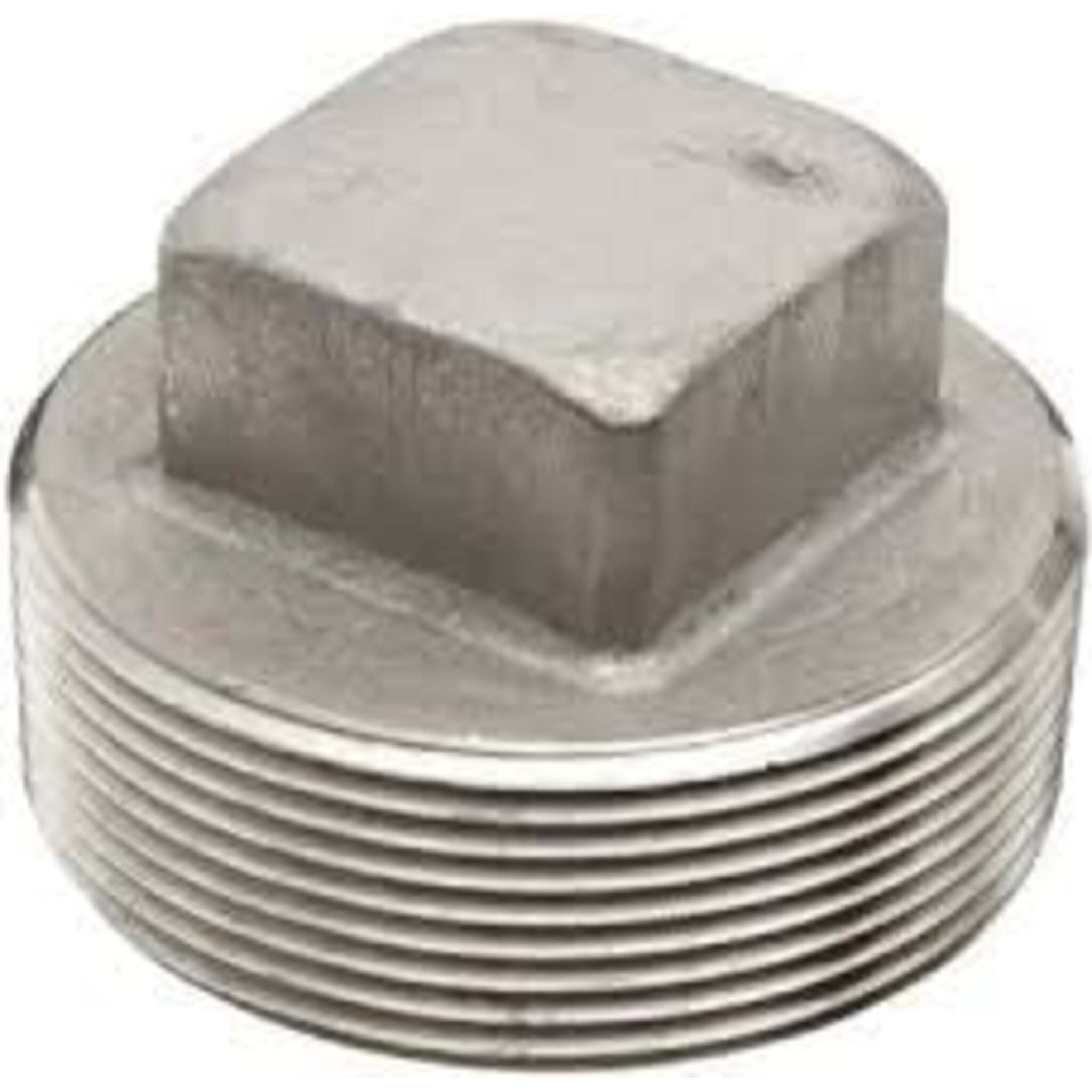 Stainless Steel Square Head Plug Pipe Fitting | 1/8" NPT to 3" NPT Fittings and Valves - Cleanflow