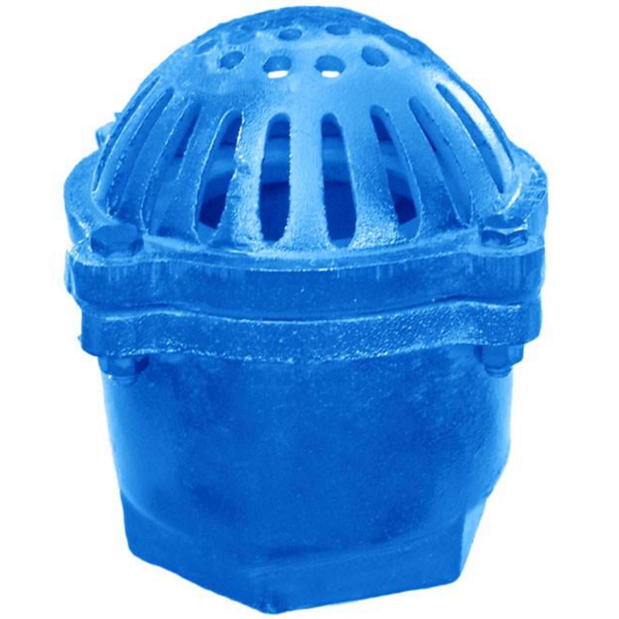 Economy Cast Iron Foot Valve with Strainer for 1.5" to 6" Trash Pumps Hose and Fittings - Cleanflow