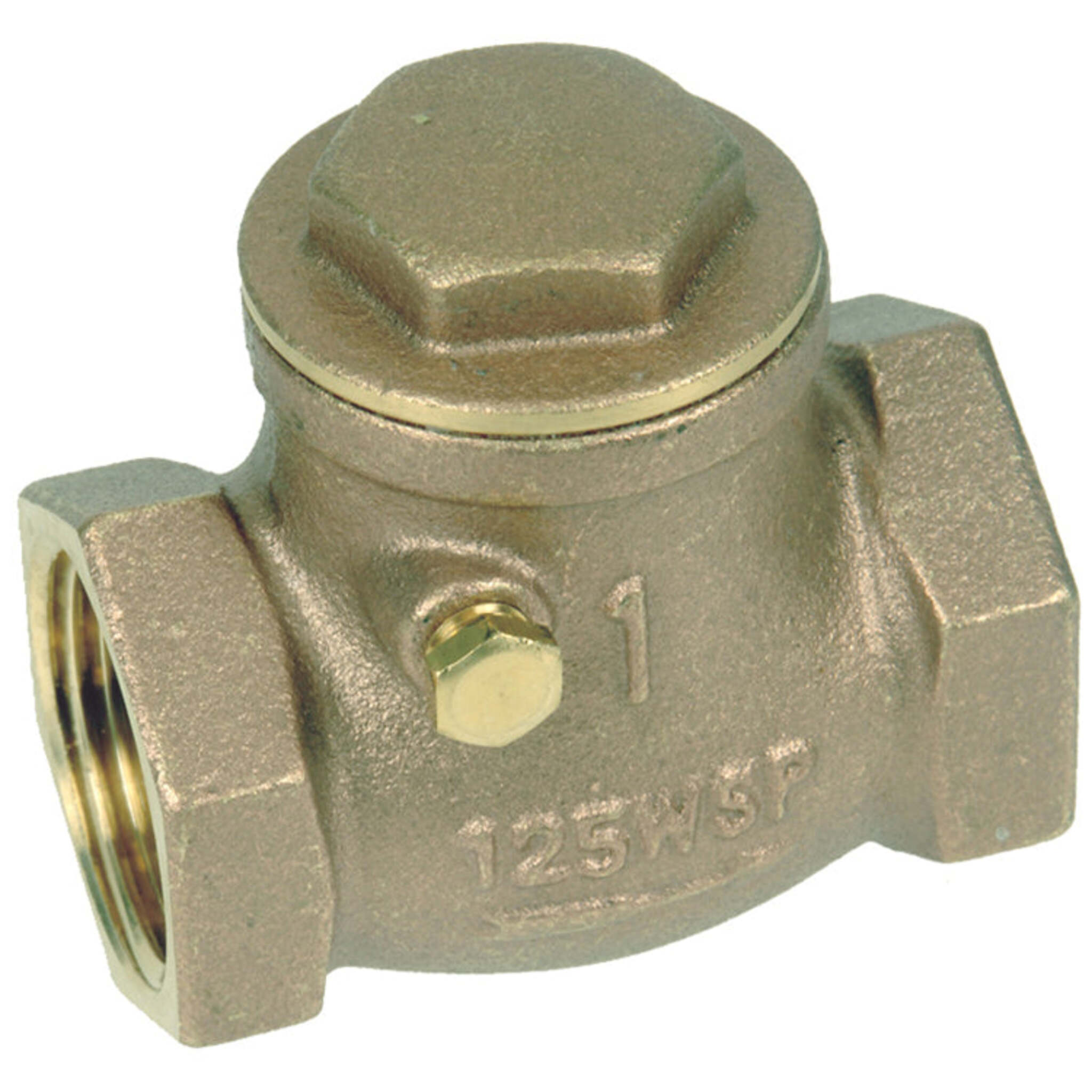 Brass Swing Check Valve