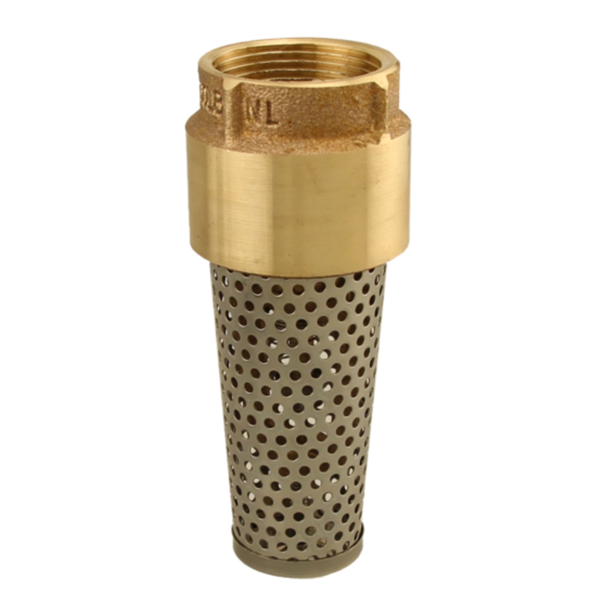 Lead-Free Brass Foot Valve with Stainless Steel Screen, FPT, Backflow Prevention for Ponds, Wells, and Pump, Reliable, Durable & Corrosion Resistant