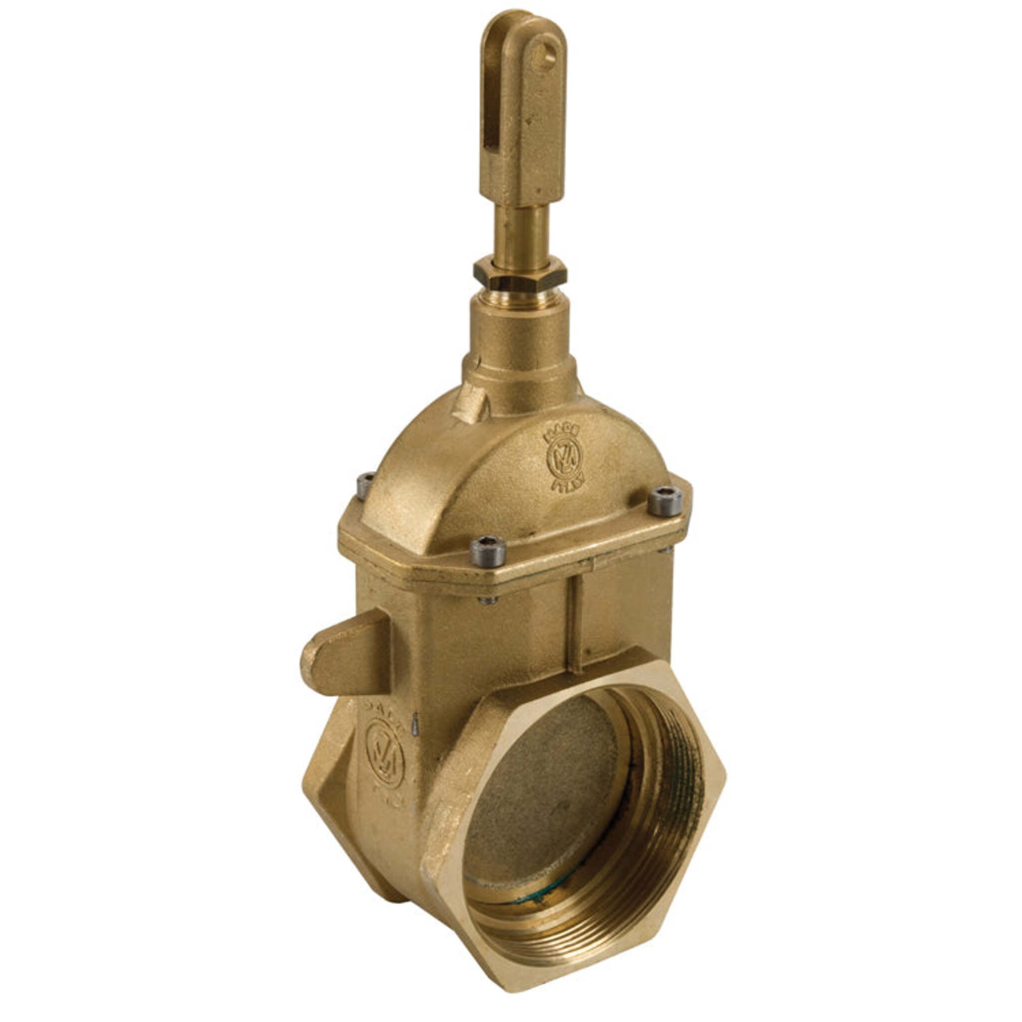 RIV Piston Gate Valve | NPT Threads | 4" & 6" Fittings and Valves - Cleanflow