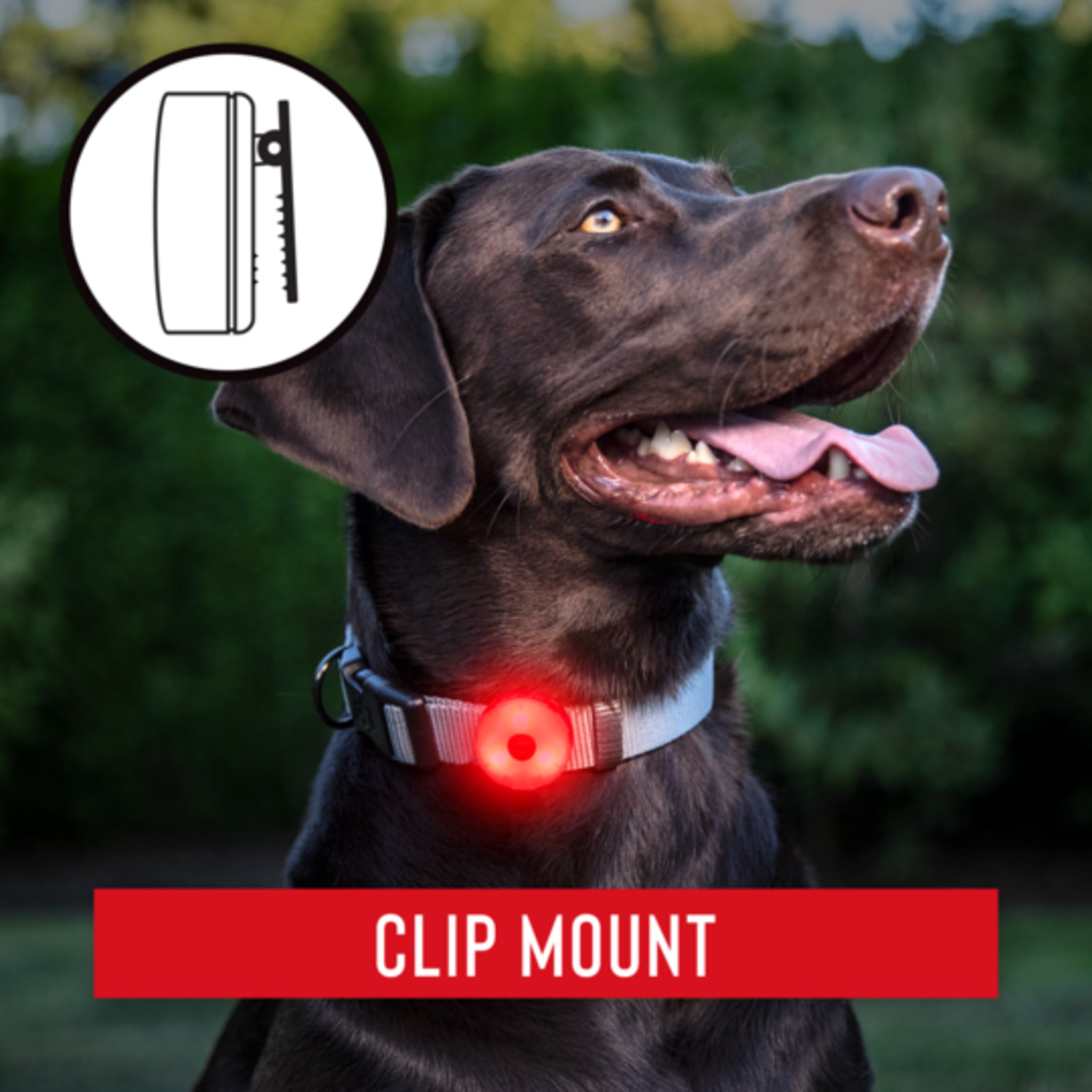 Coast® SL1R Rechargeable Red Safety Light - 1/4 Mile Visibility, 41-Hour Battery, Versatile Mounting, 3 Light Modes, Compact & Durable Design