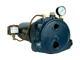 Cast Iron Convertible Pump for Shallow and Deep Well Applications

