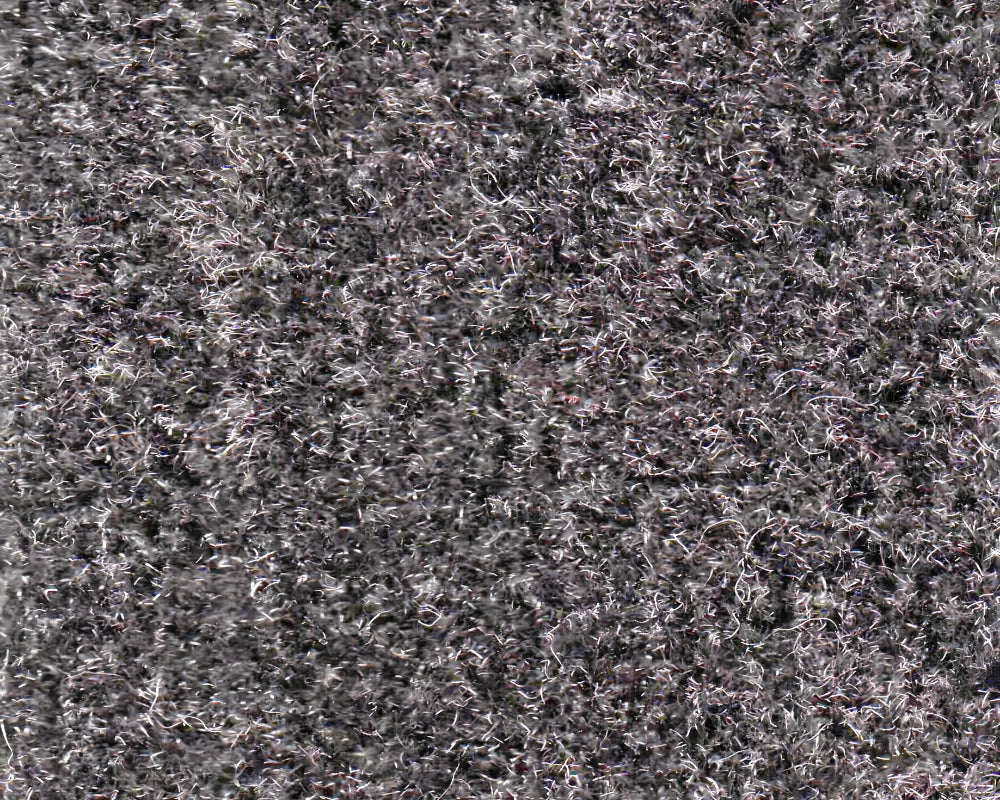 Close-up of Edgewood Poly-Tuft charcoal cut pile polypropylene carpet surface.