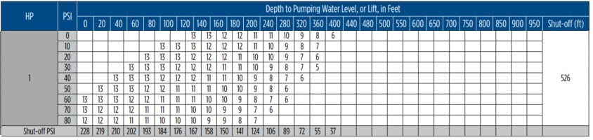 Franklin Electric 10FS1S4-3W230 FS Series 1 HP Submersible Well Pump | 10 GPM | 230V | 3-Wire