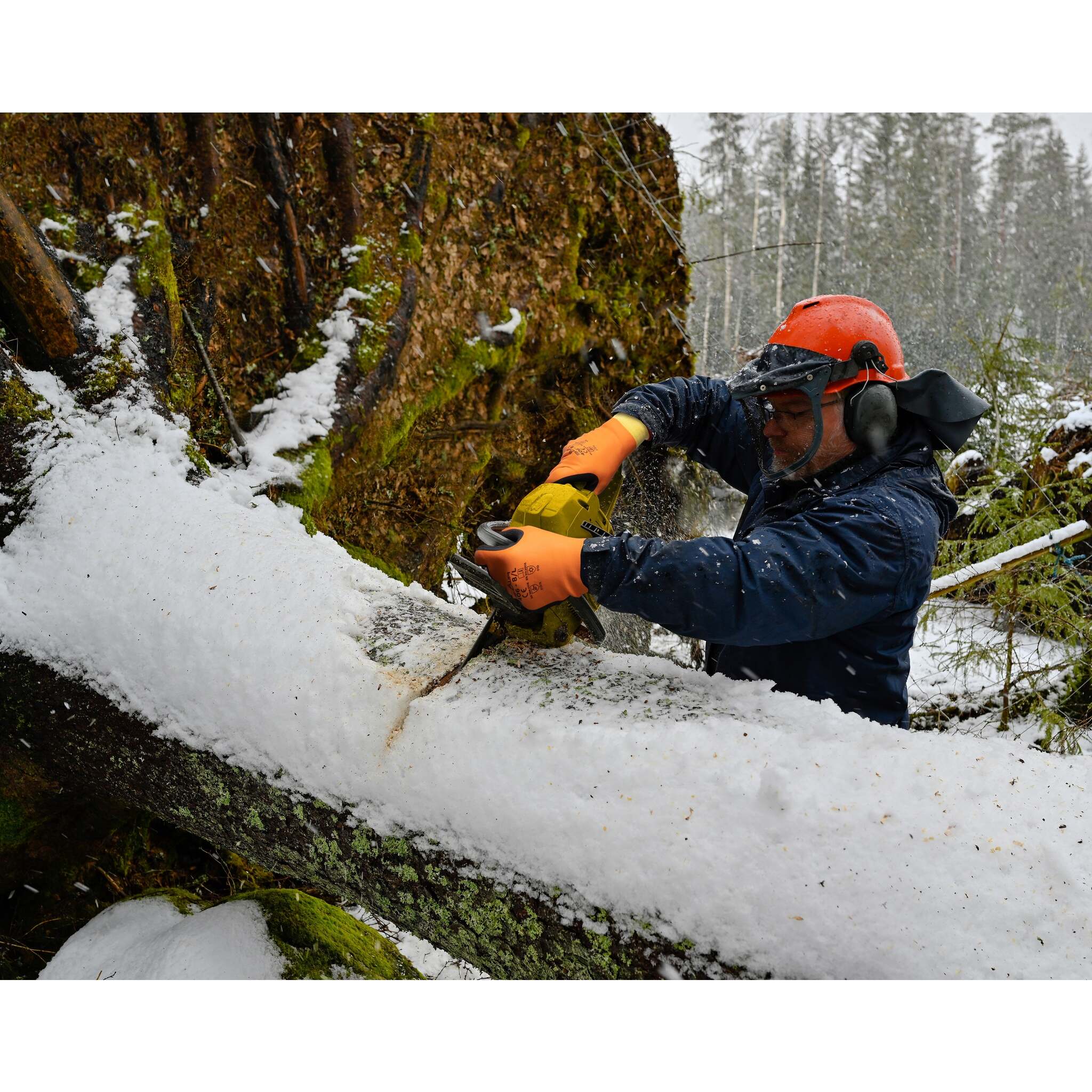 Showa 406 thermal gloves: hi-vis fluorescent orange, dual latex foam coating, water-resistant, cold rating to -30C. Hi-vis latex foam gloves at Cleanflow.
