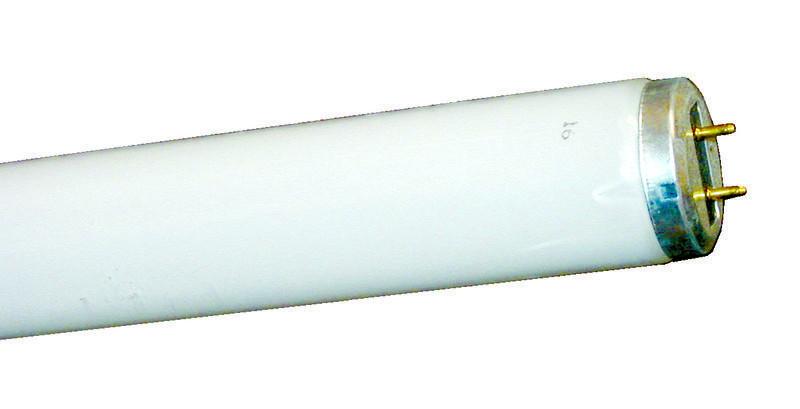 Two Pin Fluorescent Lamps | 48" Facility Equipment - Cleanflow