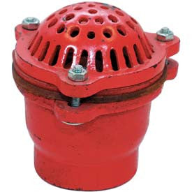 Quality Cast Iron Foot Valve with Strainer for 1.5" to 6" Trash Pumps Hose and Fittings - Cleanflow