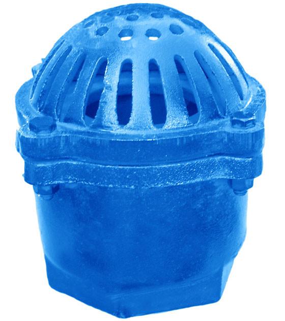 Economy Cast Iron Foot Valve with Strainer for 1.5" to 6" Trash Pumps Hose and Fittings - Cleanflow